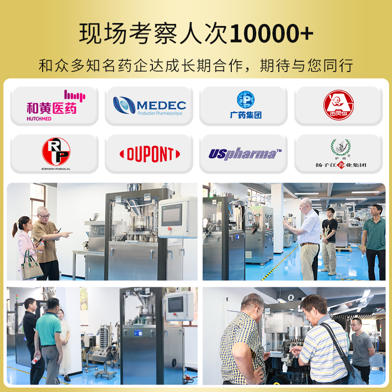 RQ-ZP-15D/20D高速压片机