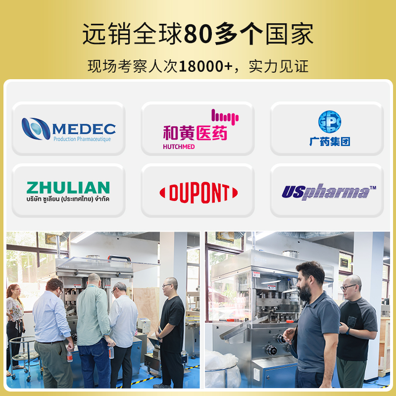 RQ-ZP-27T大片压片机