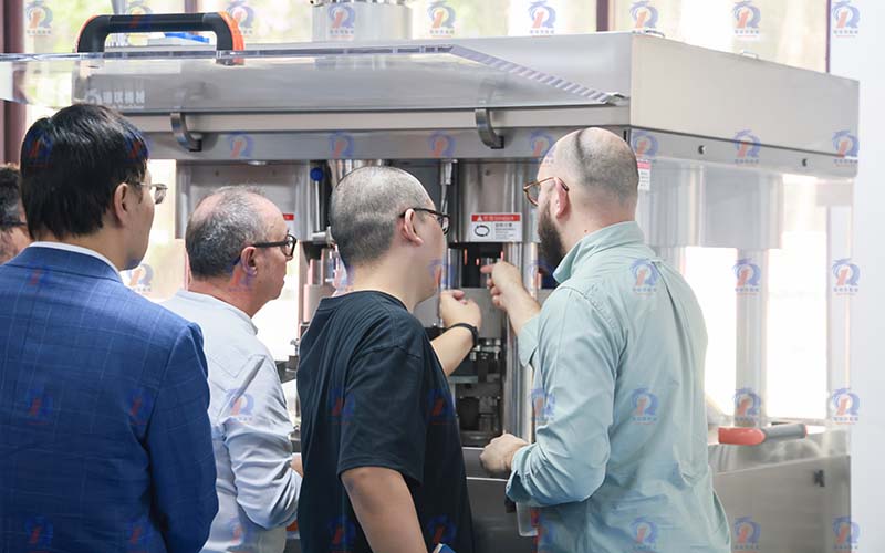 ZP-27D高效压片机