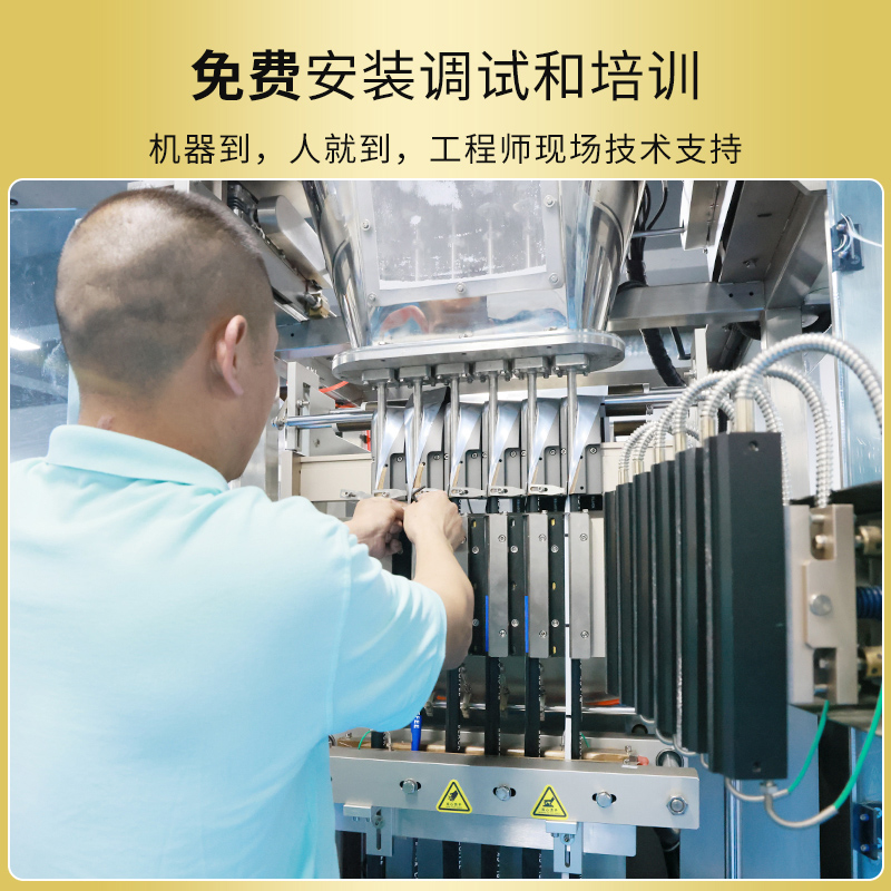 RQ-VP2L双列液体立式包装机