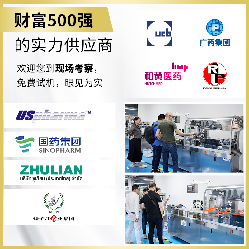 RQ-DPP-270L液体铝塑泡罩包装机