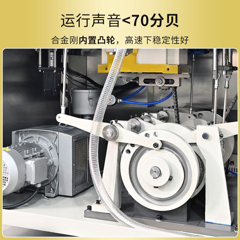 RQ-DPP-7800D全自动胶囊填充机